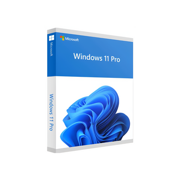 Microsoft Windows 11 Pro oem