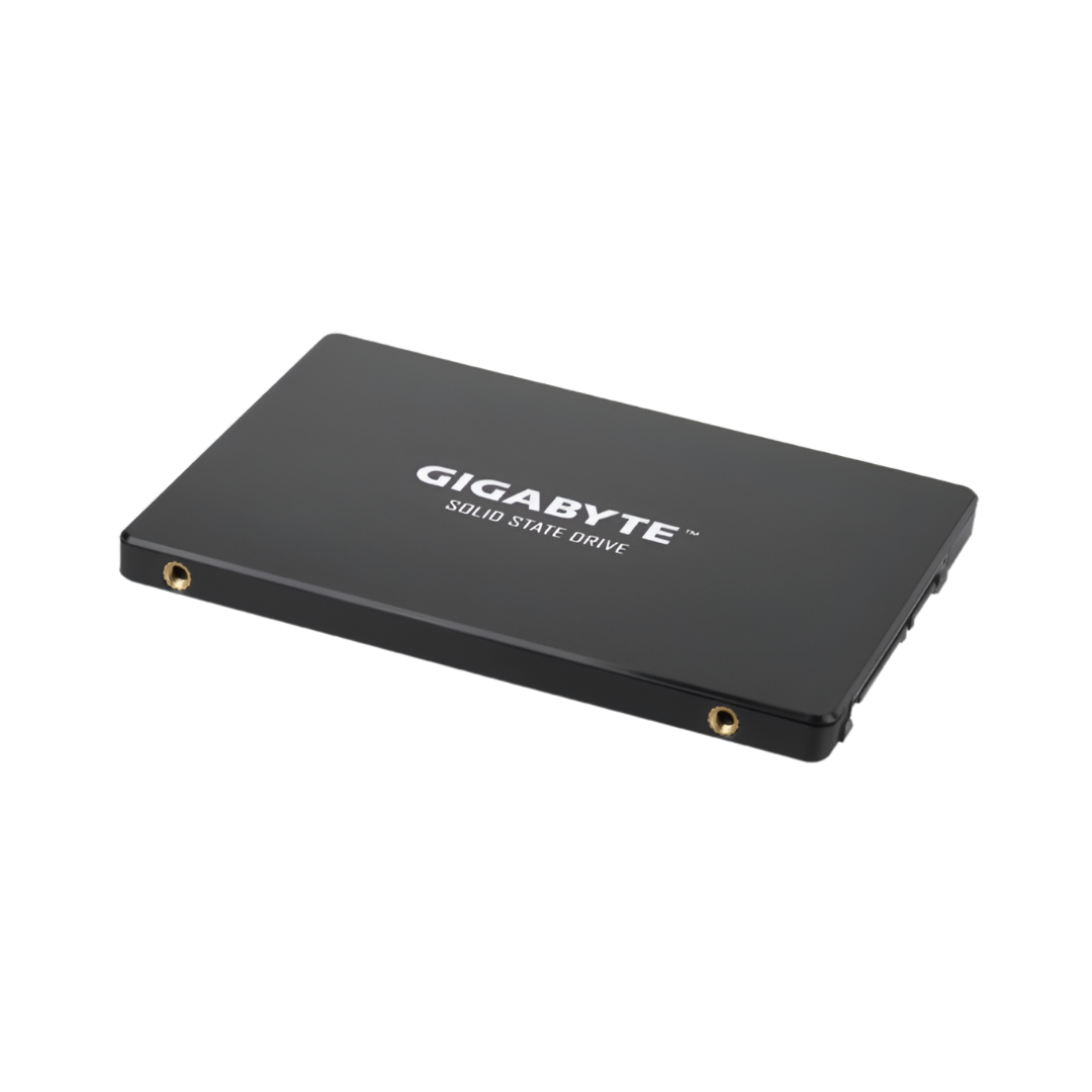 Gigabyte GP-GSTFS31100TNTD 1TB 2.5" SSD