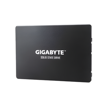 Gigabyte GP-GSTFS31100TNTD 1TB 2.5