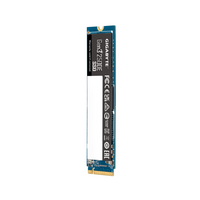 Gigabyte Gen3 2500e SSD 500GB