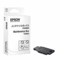 Epson Maintenance Box WF100 C13T295000